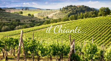 il chianti