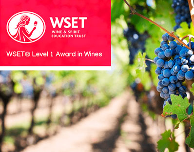 corso wset 1 livello