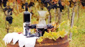 Montefalco Sagrantino