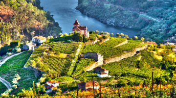 Fortificati Madeira Porto