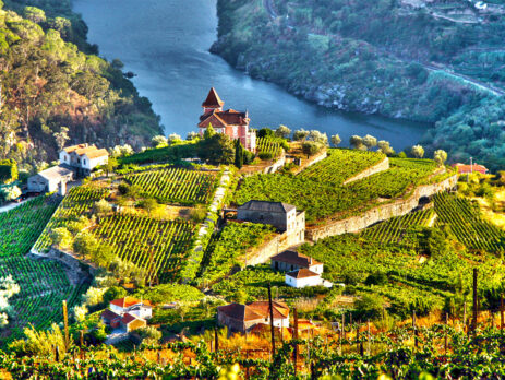 Fortificati Madeira Porto