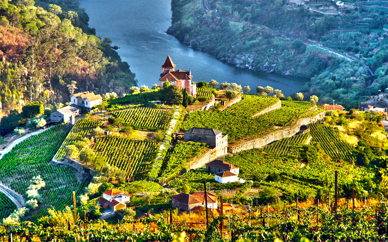 Fortificati Madeira Porto