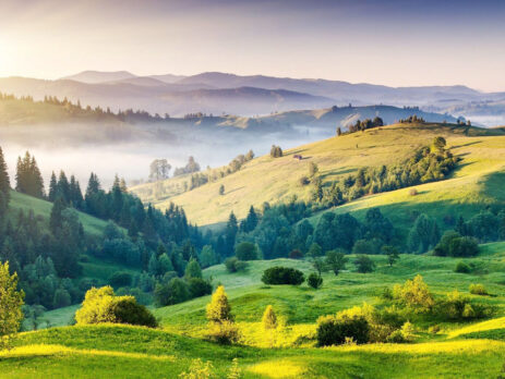 Carmenère - Vicenza