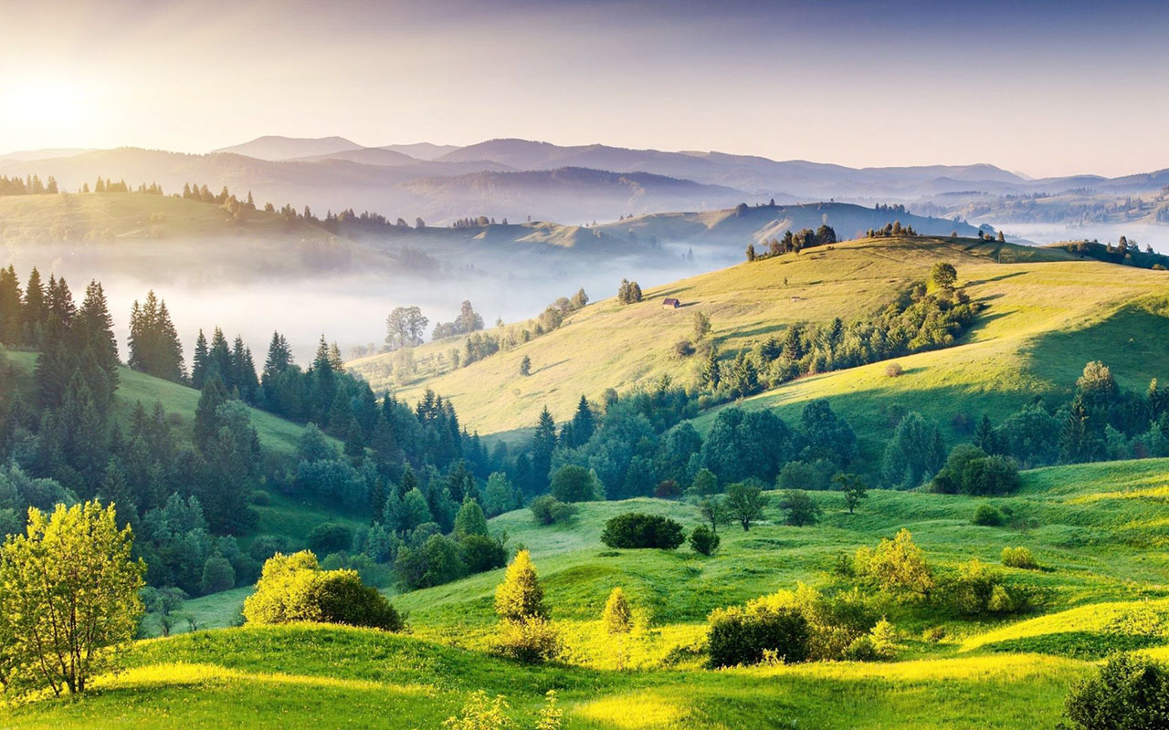 Carmenère - Vicenza