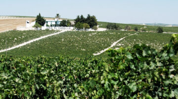 Jerez de la Frontera