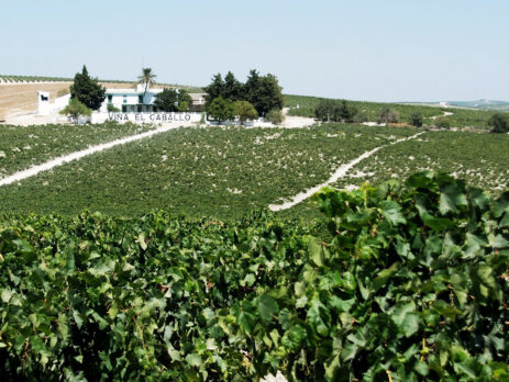 Jerez de la Frontera