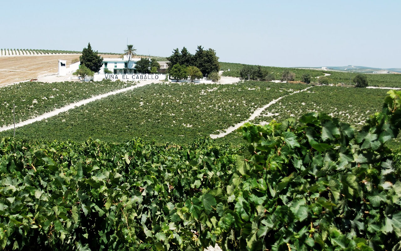 Jerez de la Frontera