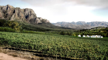 Itinerari vino Sud africa