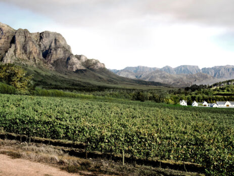 Itinerari vino Sud africa