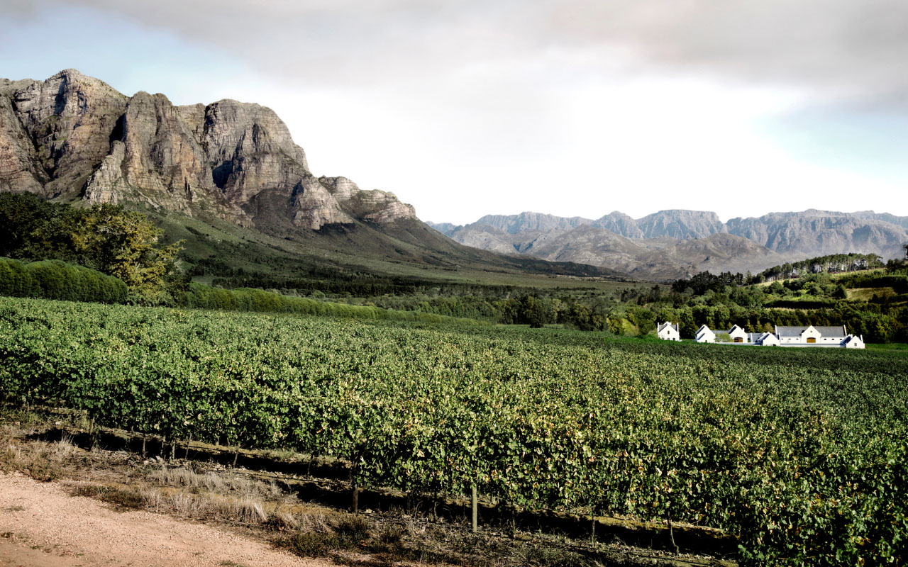 Itinerari vino Sud africa