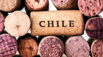 Itinerario vino Cile