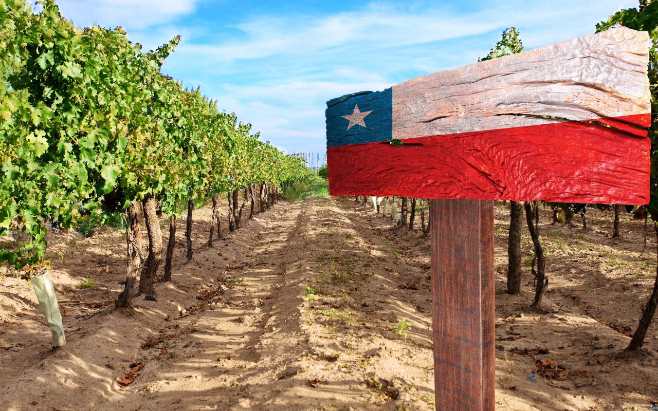 Strada vino Cile