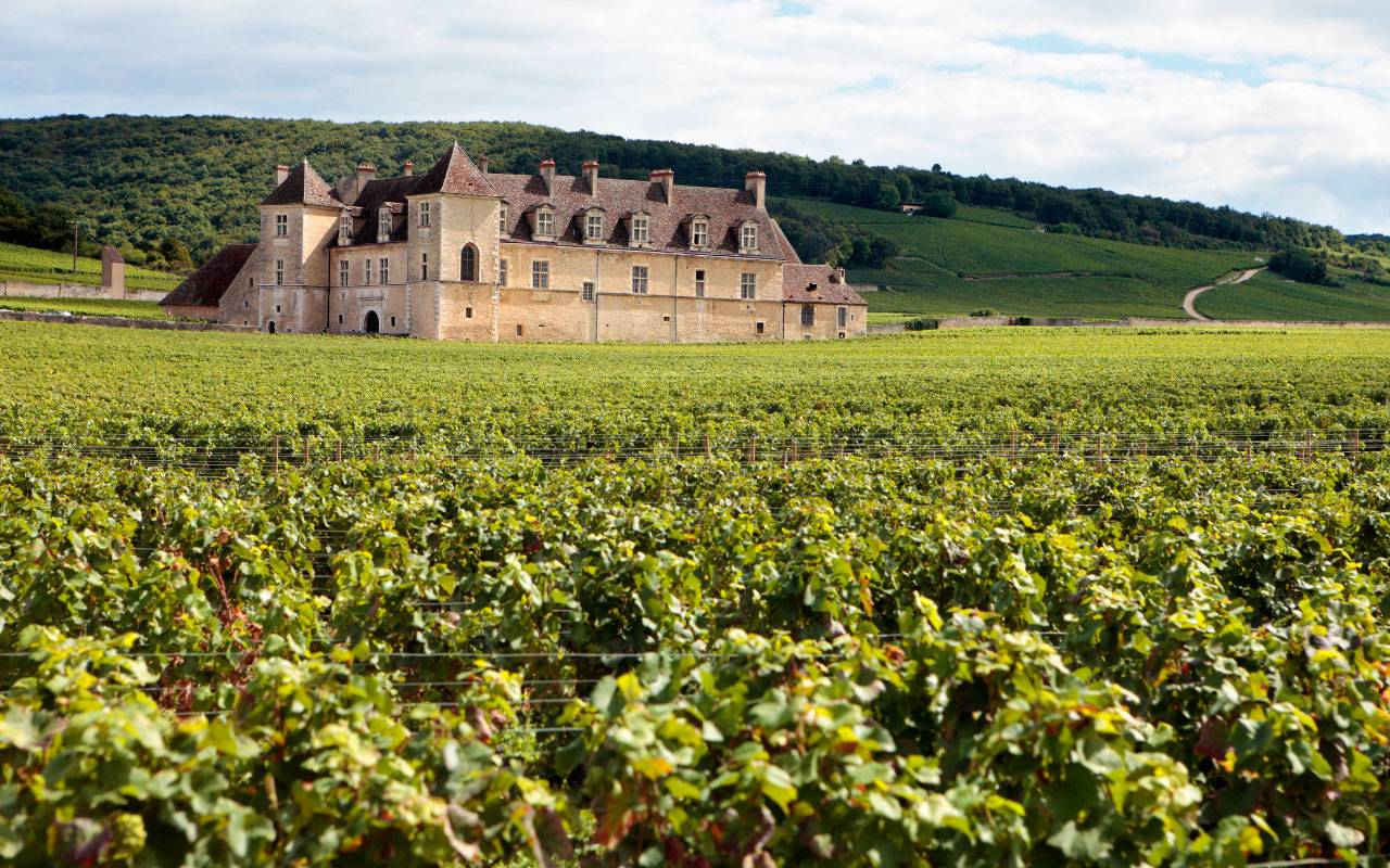 Vini francesi Borgogna