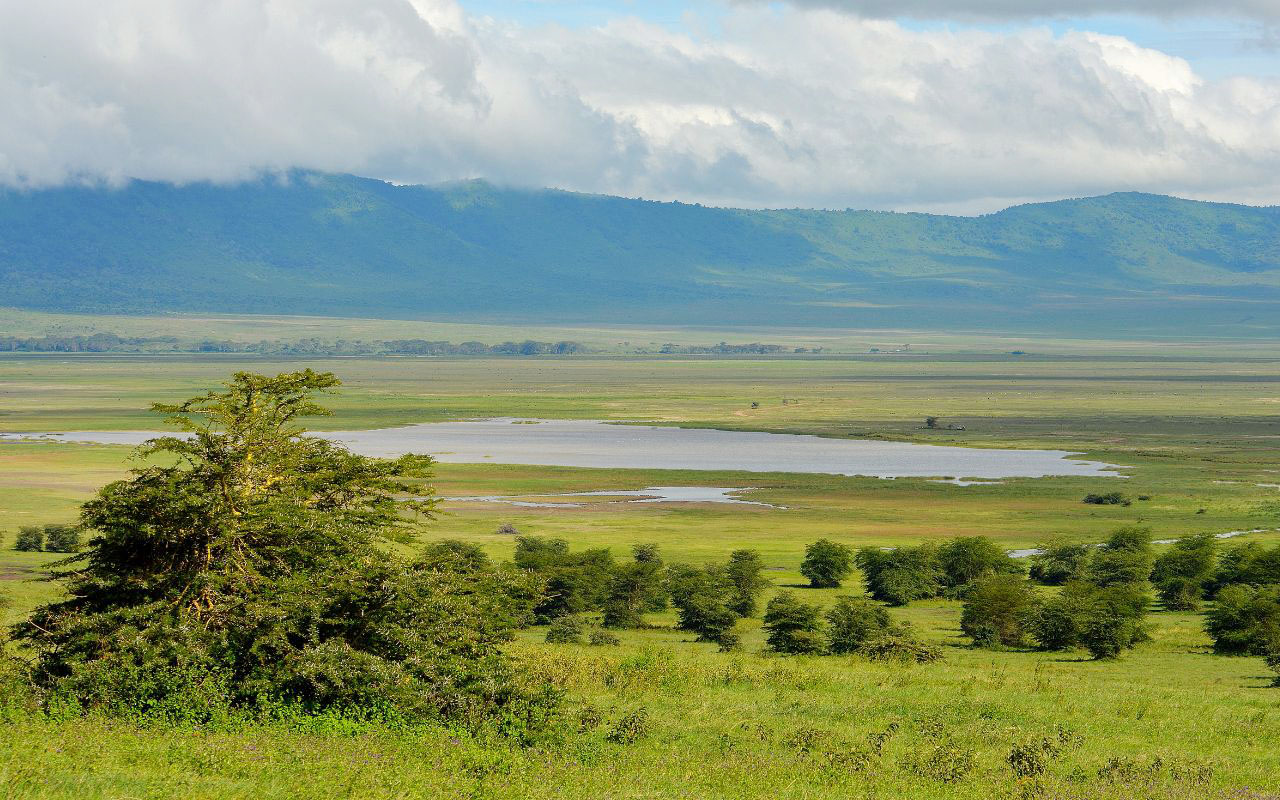 Eden Valley riesling