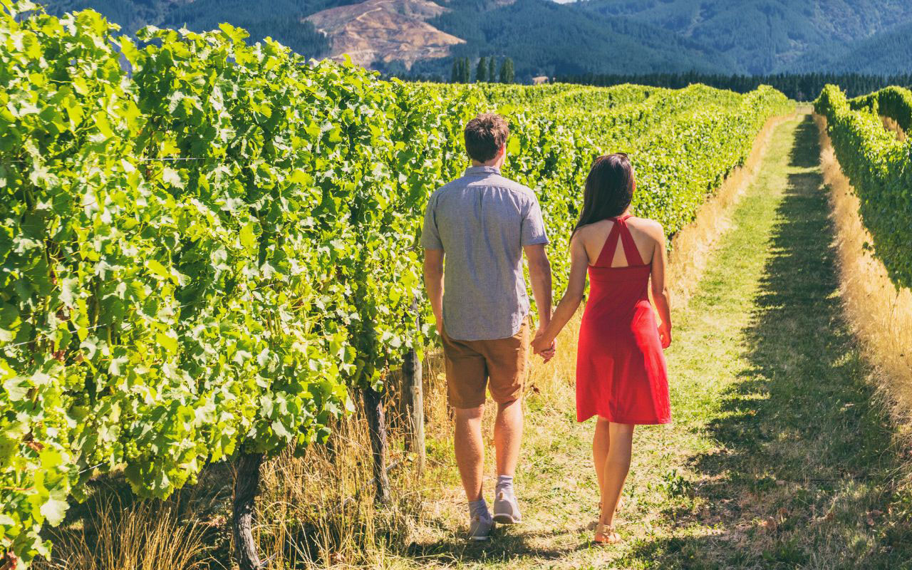 Vitigni Nuova Zelanda