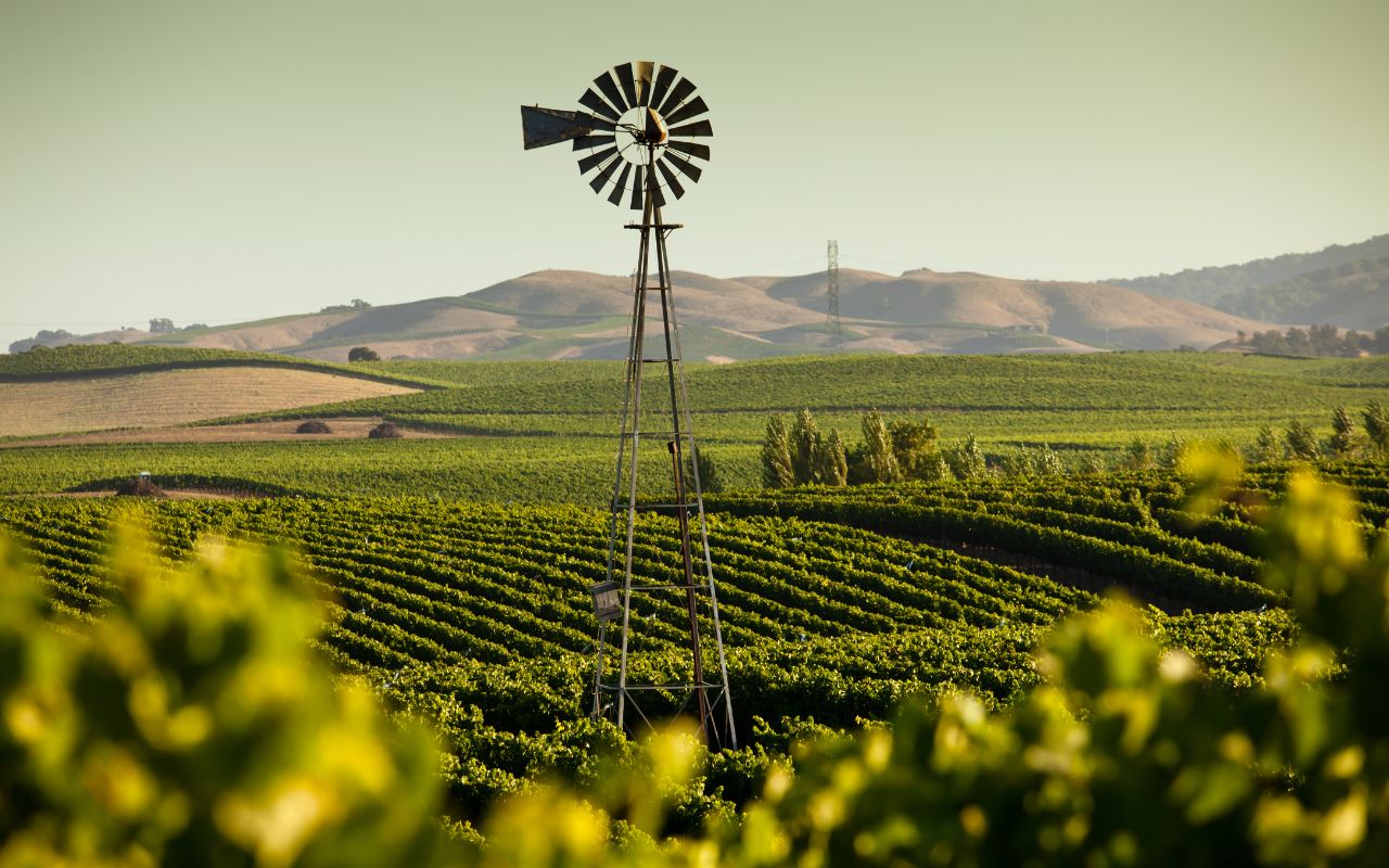 Viaggio nel vino Oregon