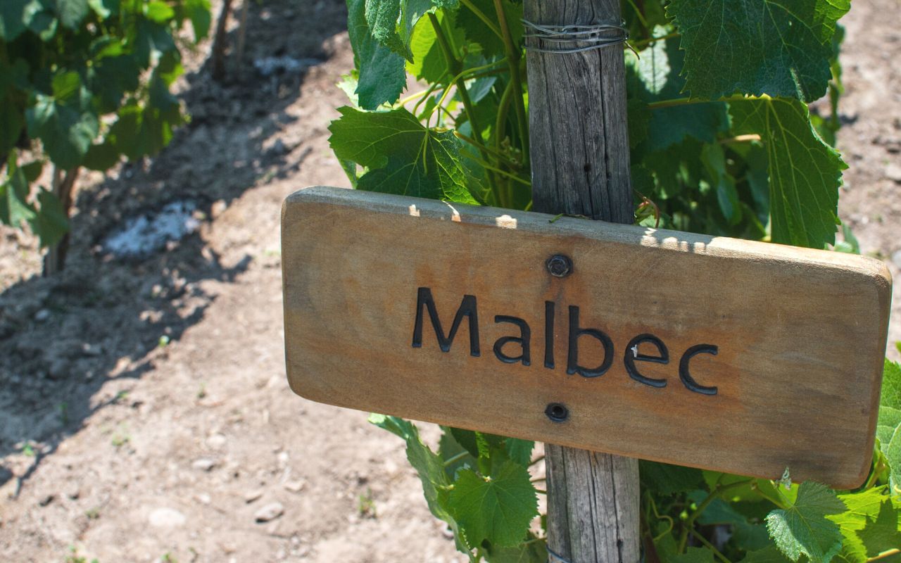 Malbec