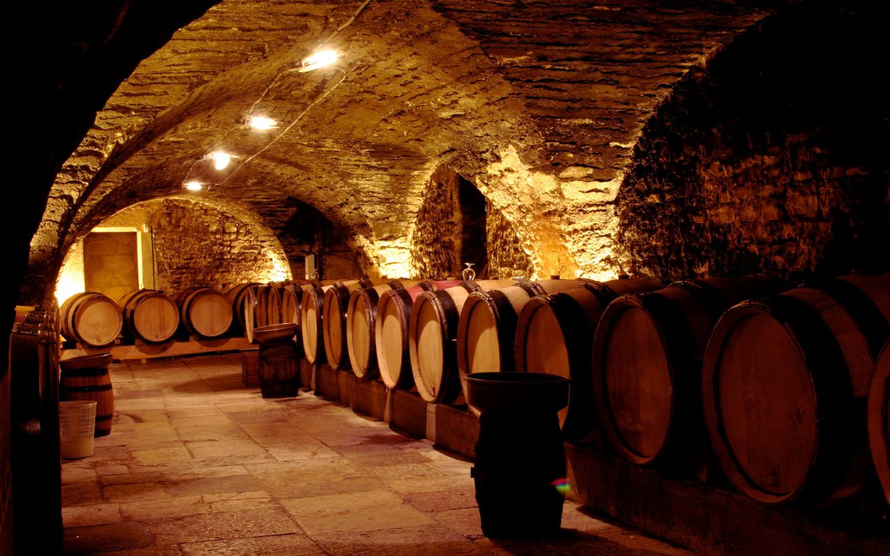 Cantina vino pregiato