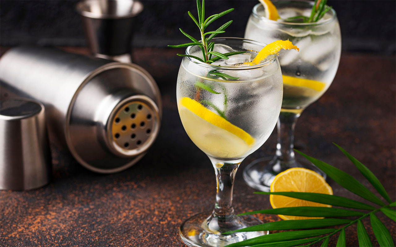 gin-tonic-cocktail